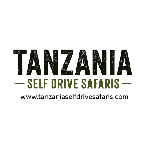 tanzaniaselfdrivesafaris.com