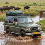 The Ultimate Guide to a Self-Drive Safari in Tanzania