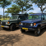 Which Vehicles Are Best for Self-Drive Safaris in Tanzania?